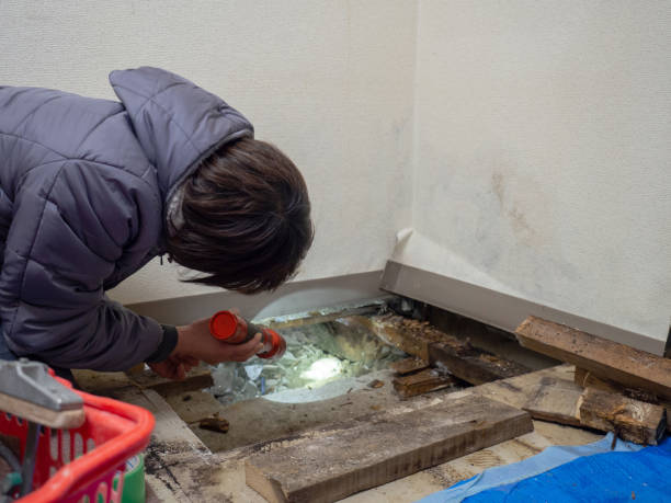 Watertown, SD Mold Removal Company