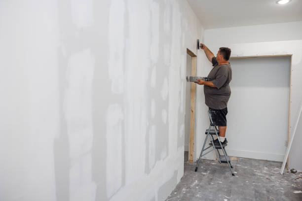 Best Water Damage & Mold Remediation  in Watertown, SD